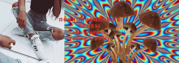 мяу мяу мука Арсеньев