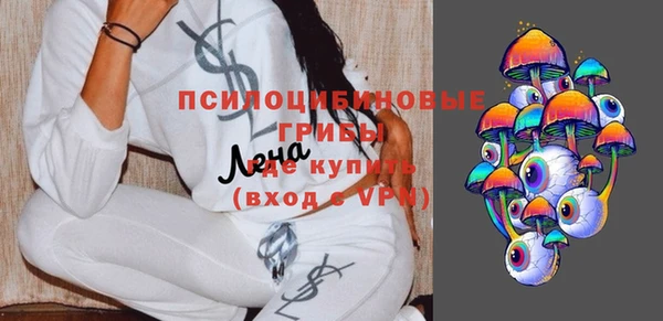 мяу мяу мука Арсеньев